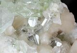 Zoned Apophyllite Crystals on Stilbite - India #44447-3